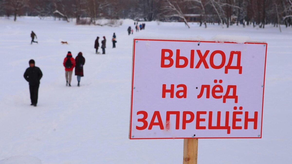    Фото: Zamir Usmanov/globallookpress.com