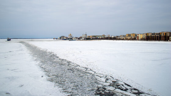     Фото: Олег Кулешов