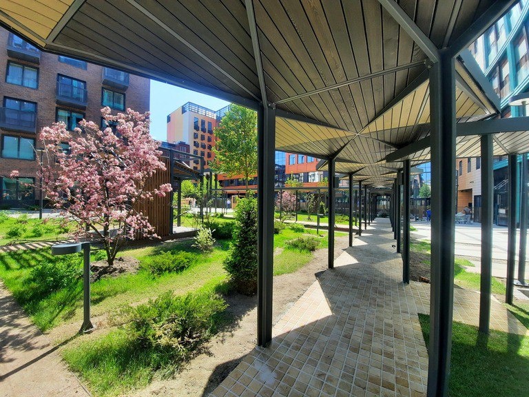 Изображение: arbero.ru