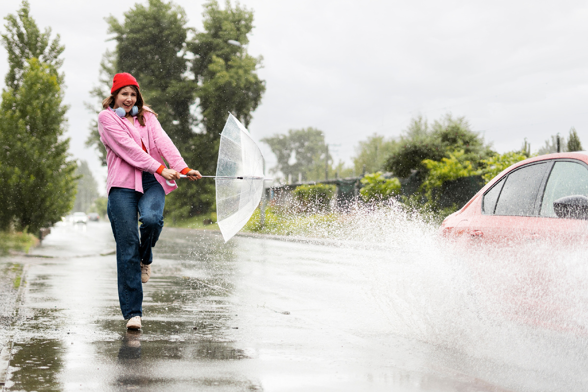 Фото: Shutterstock