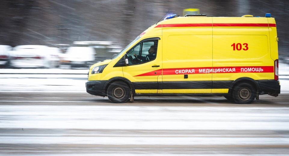    РИАМО, Пелагия Тихонова