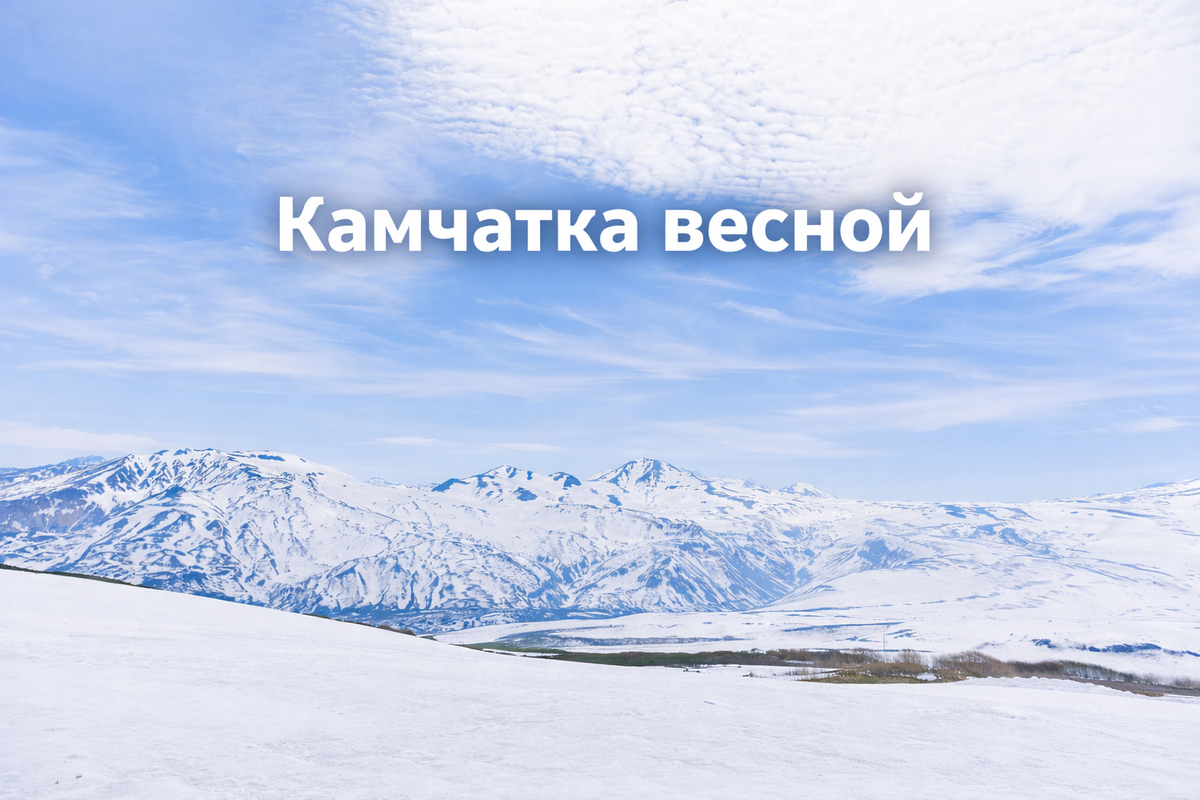 (фото из открытых источников)