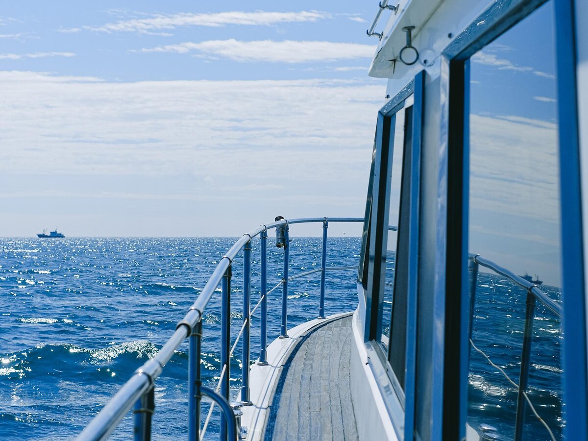 (фото из открытых источников)