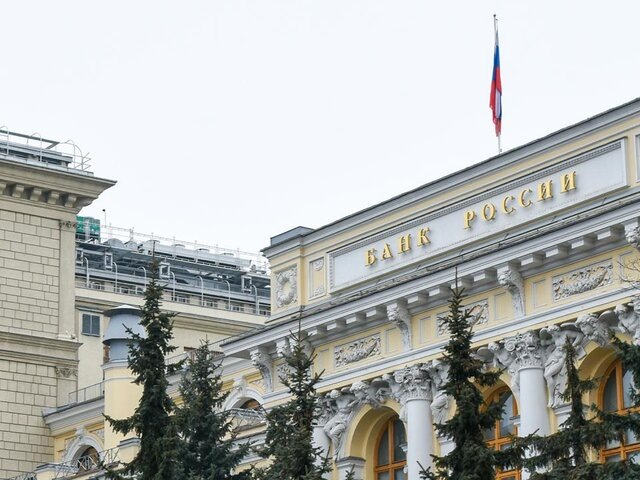    Фото: Москва 24/Никита Симонов