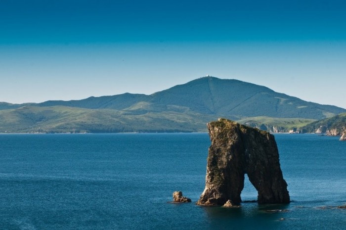    Фото: Дарвиновский музей