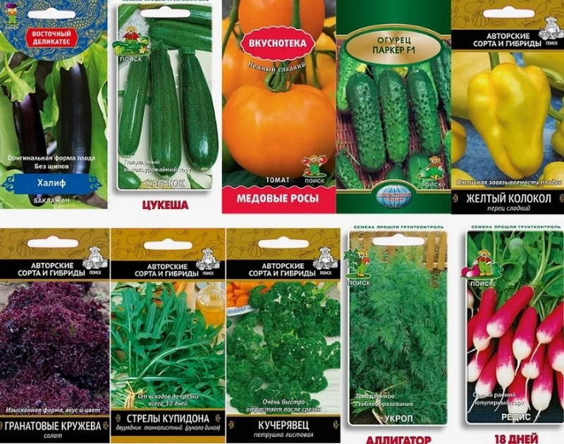 Из обилия предлагаемых семян ввыбирайте районированные сорта у надёжных продавцов. 