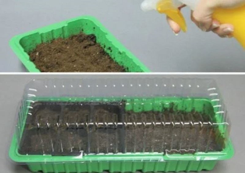 Готовим ёмкости под рассаду и почву. 