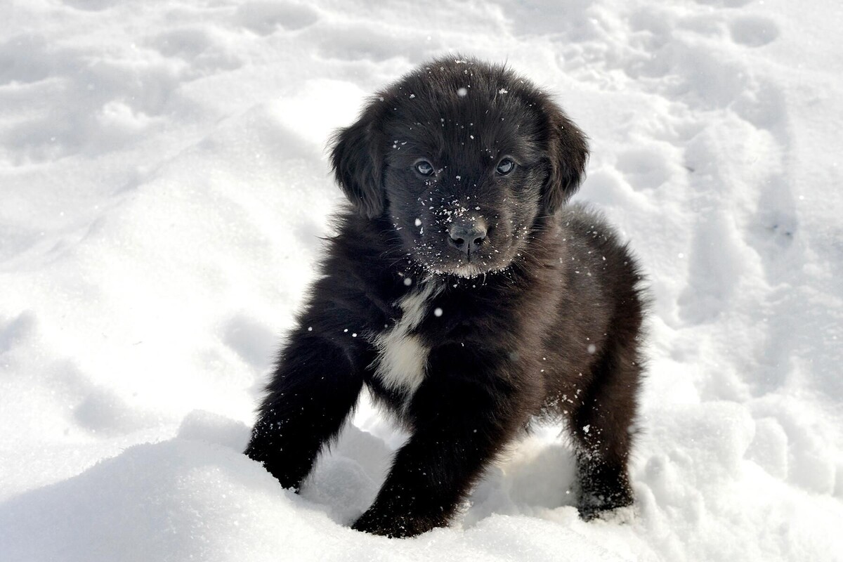 Изображение взято с сайта https://i.pinimg.com/originals/cb/68/20/cb68204ee8fb7e667f6f713f9e964b58.jpg