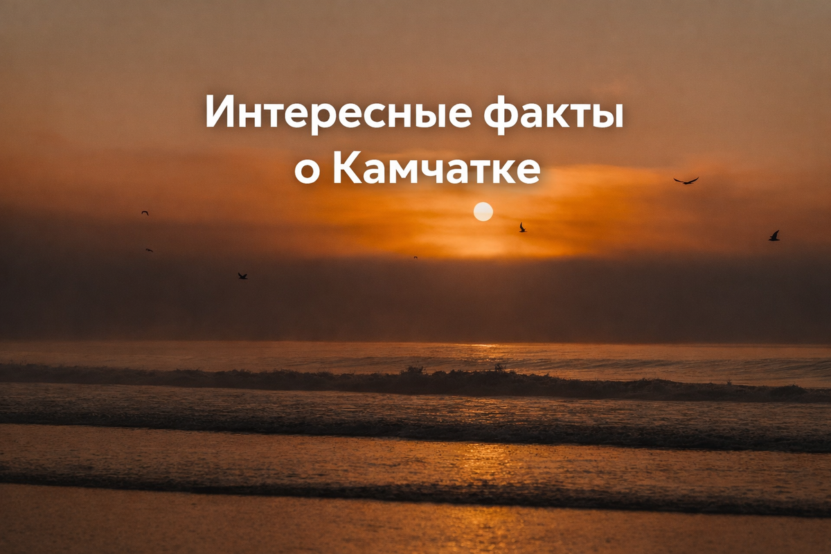 Халактырский пляж (фото Алексея Глебова)