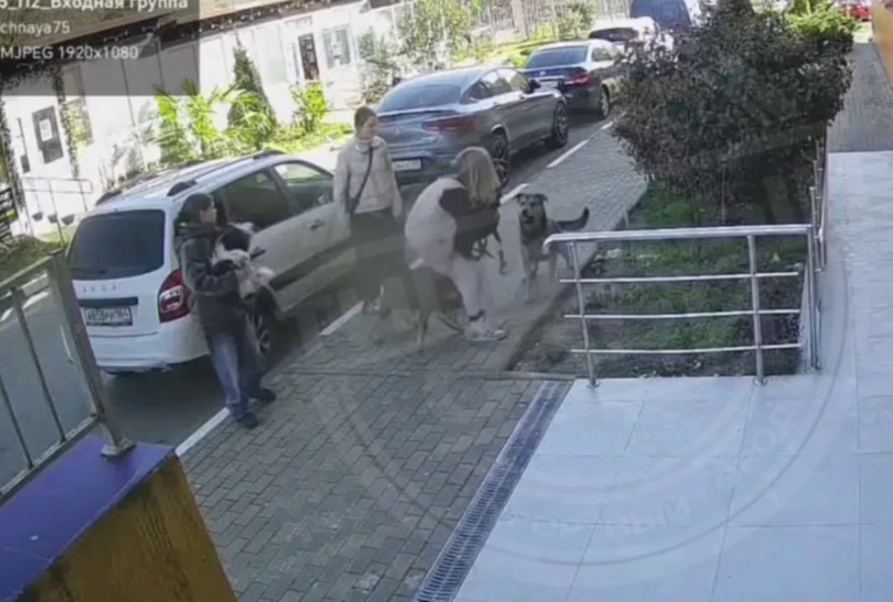 кадр из видео/Telegram/ТИПИЧНЫЙ СОЧИ  📷
