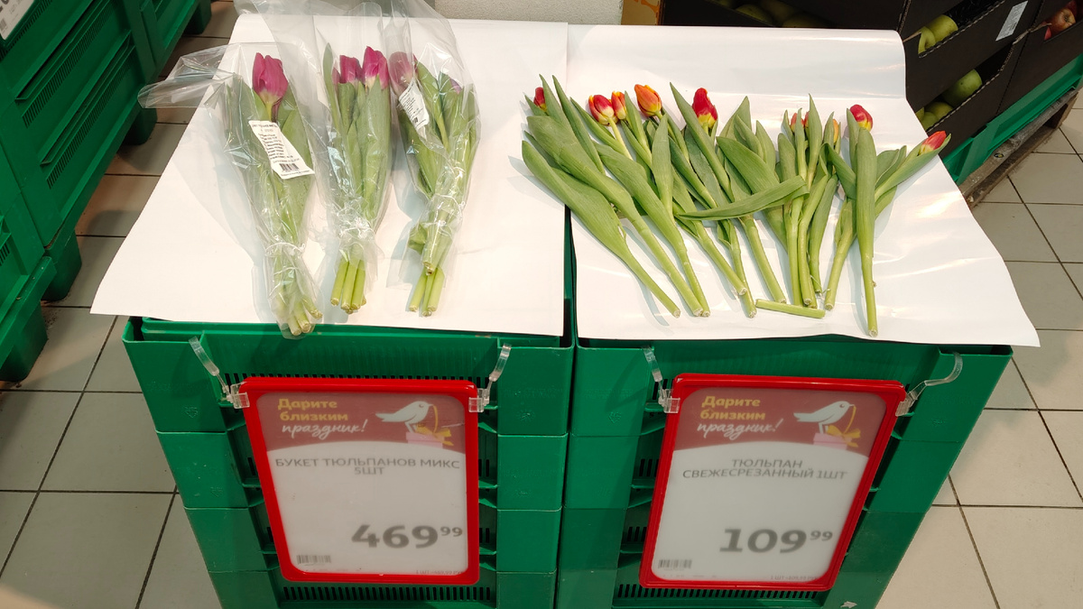 Грустные тюльпаны