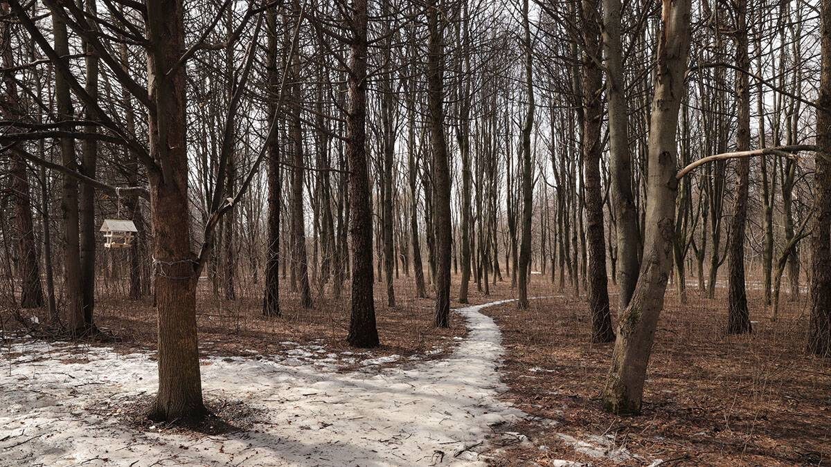    Фото: Анатолий Цымбалюк / Вечерняя Москва