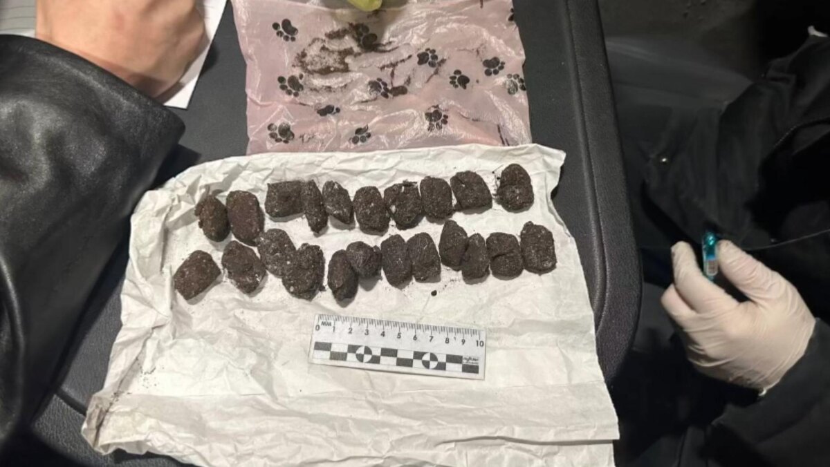    Фото: пресс-служба ГУ МВД России по Санкт-Петербургу и Ленинградской области