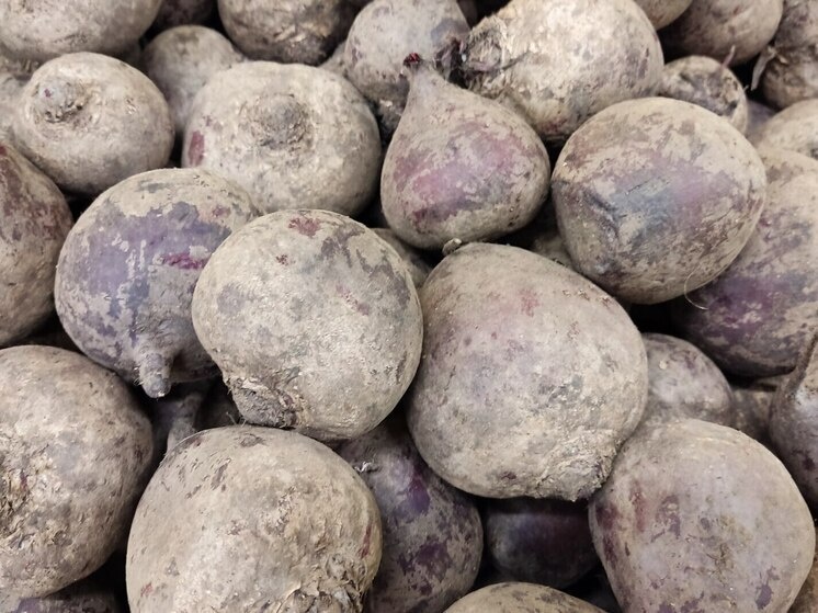     Несколько образцов подкарантинной продукции были направлены в лабораторию. Фото: Архив МК в Великом Новгороде