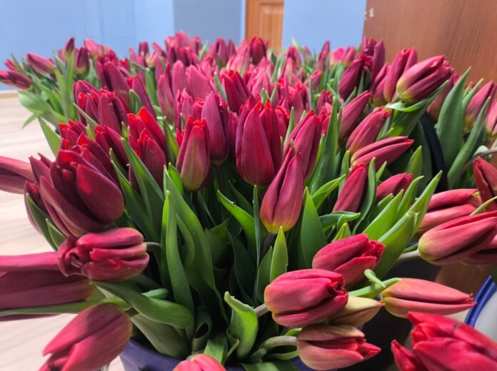 Пермячки на 8 Марта мечтают о деньгах и путешествиях