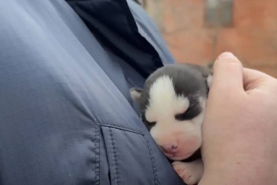    Фото: УФССП по Волгоградской области