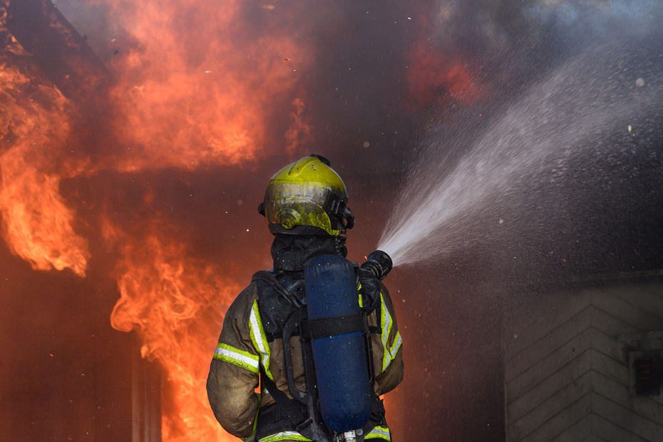    Shutterstock/FOTODOM