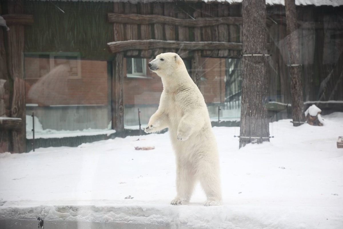    Фото: Максим Кудрявцев \ Телеграм