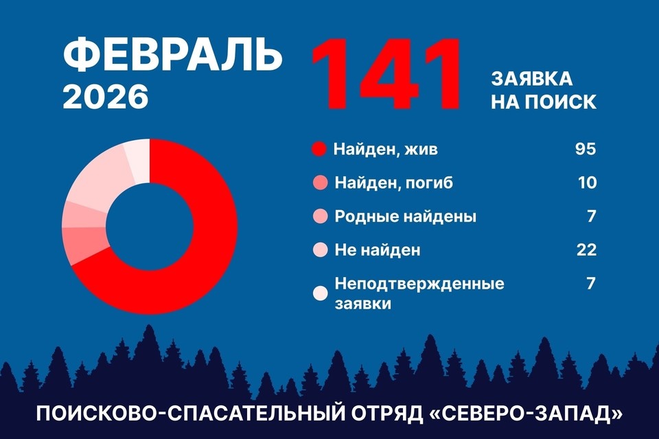    Статистика за февраль. Фото: ПСО «Северо-Запад»
