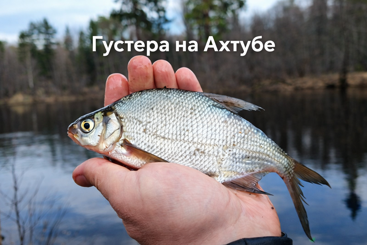 (фото из открытых источников)