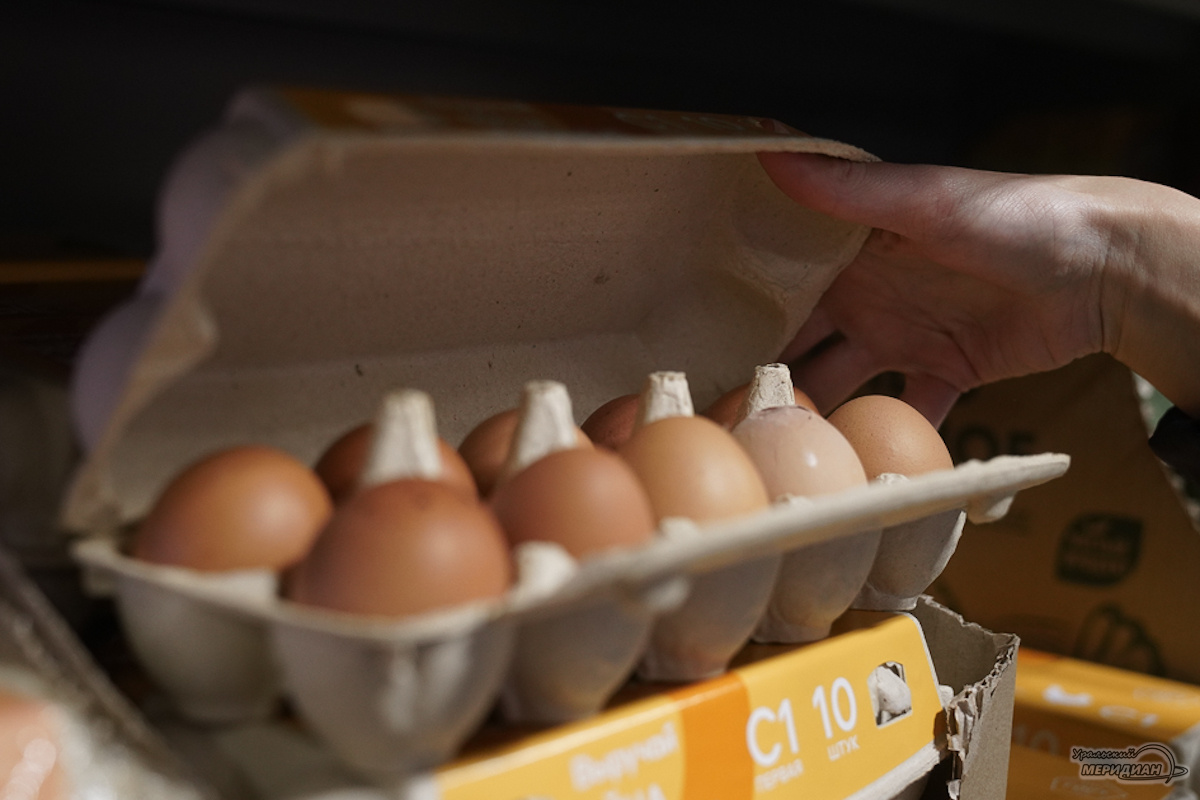    Фото: Лидия Аникина © ИА «Уральский меридиан»