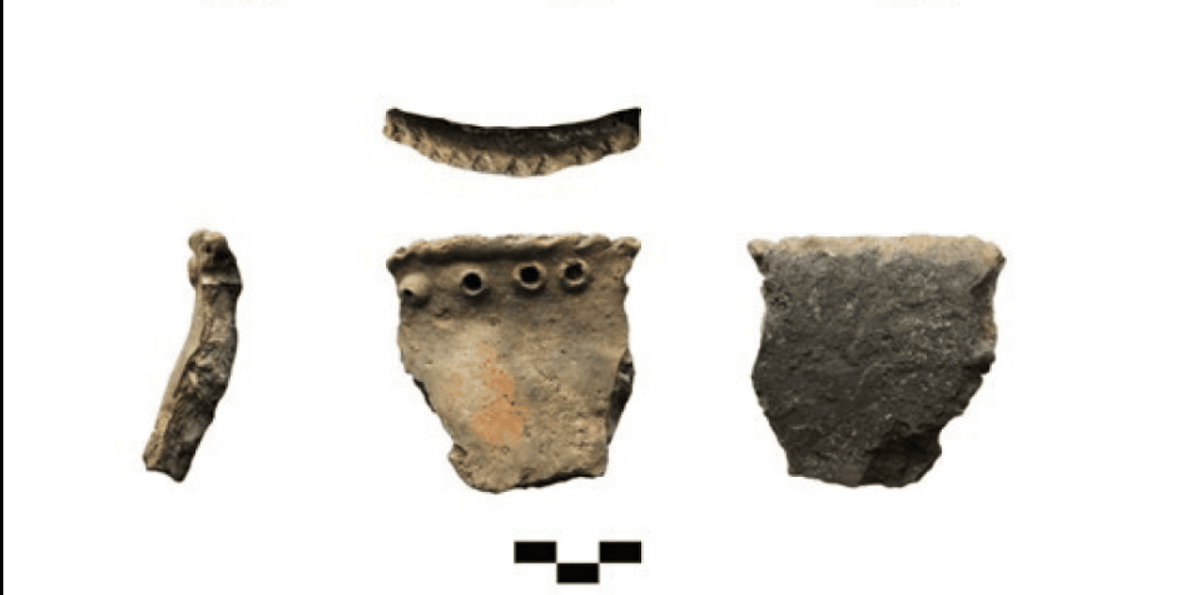    Пример исследованного керамического горшка с сохранившимися следами пищи / © PLOS One