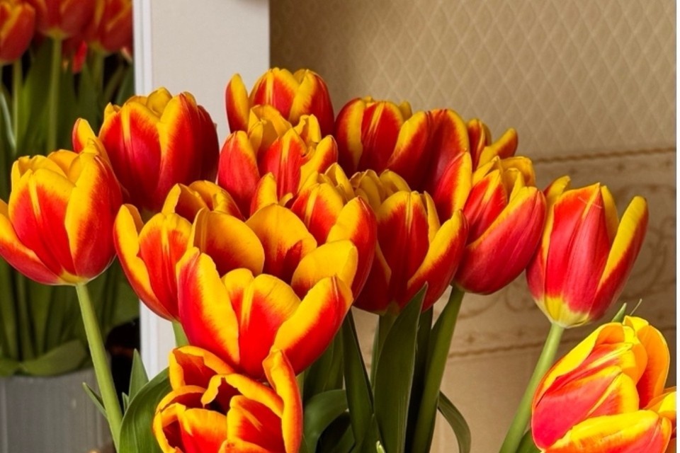    Букет на 8 марта обойдется самарцам в 3000 рублей Анастасия СЕМДЯНОВА