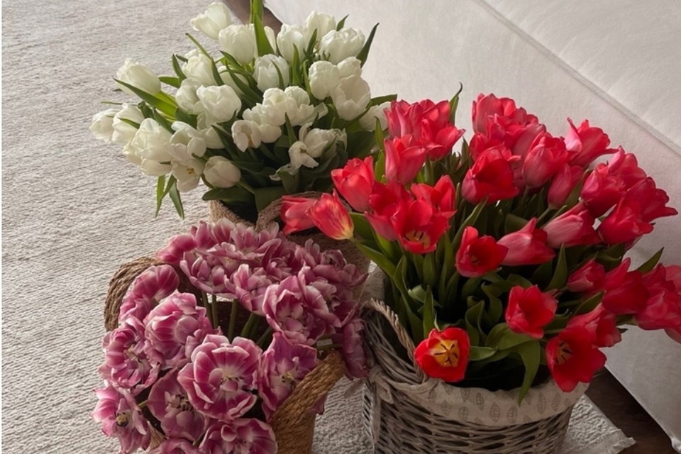    В центре города просят 209 рублей за один тюльпан Анастасия СЕМДЯНОВА