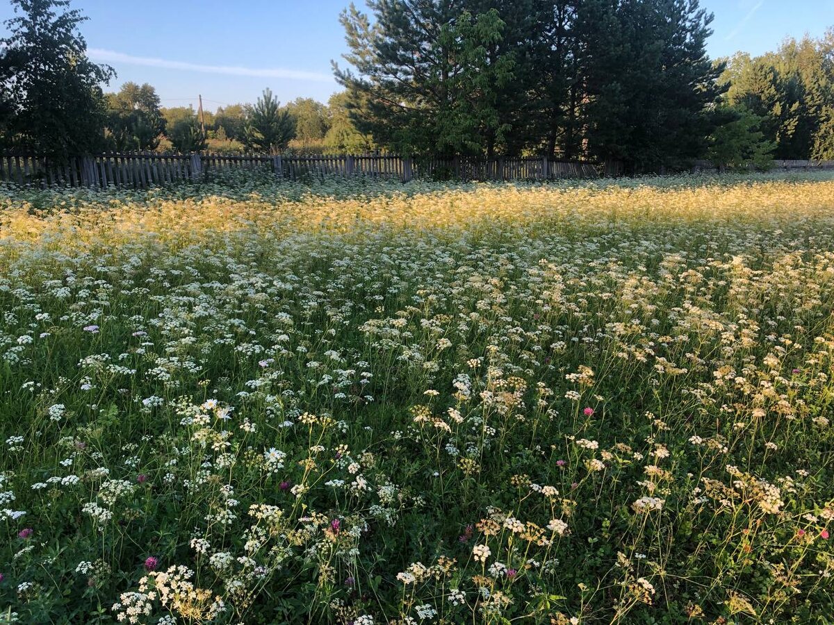 В налоговую службу Нижегородской области поступили сведения о 334 сельскохозяйственных участках, которые не используются по назначению.  Фото: Фото: ФедералПресс / Ксения Чилимова