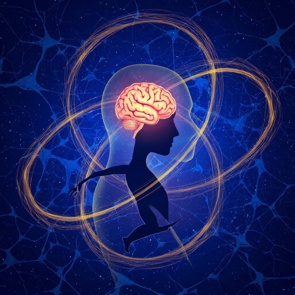 Кинезиология