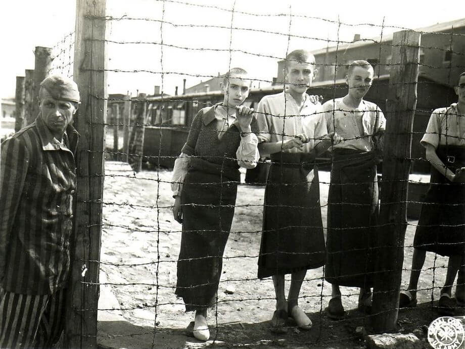 Фото из свободных источников.