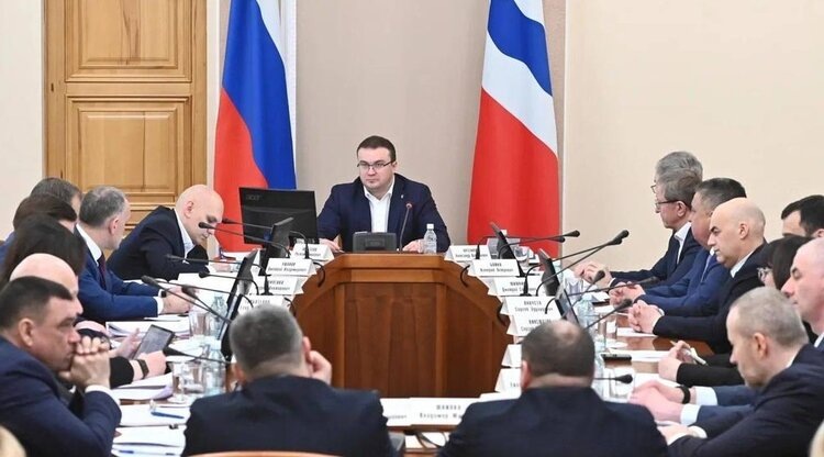    Завод по очистке кедрового ореха в Омской области построят за 120 млн рублей