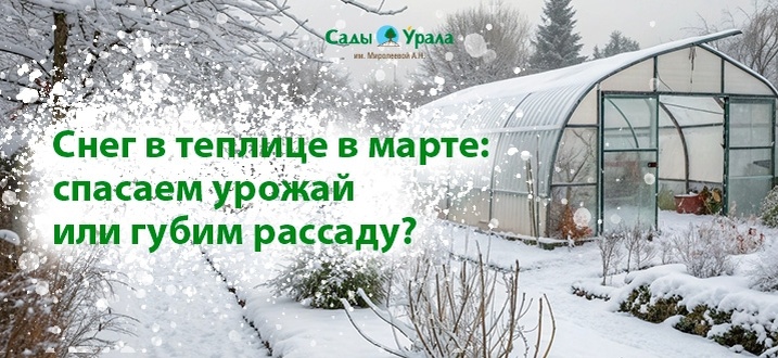 Создать карусель