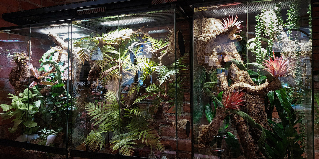 Мини-альтернатива Ботаническому саду)