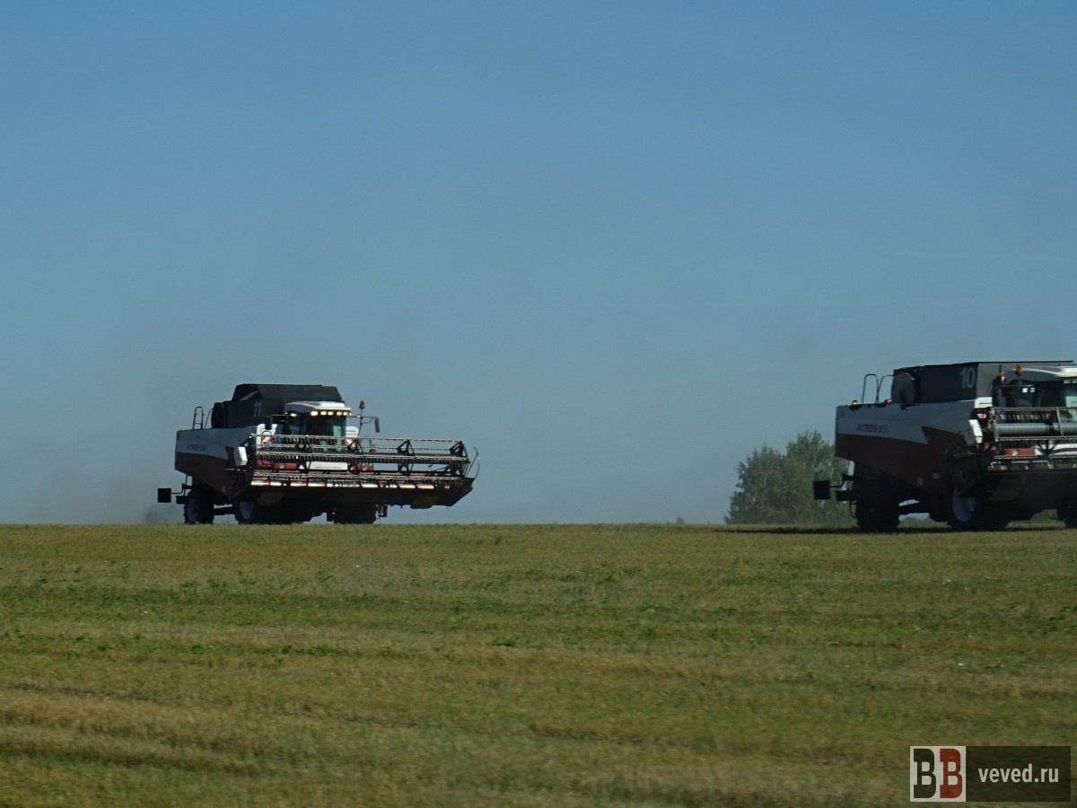     Фото: Владислав Постников / Вечерние ведомости