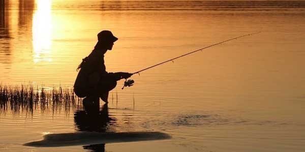 (фото из открытых источников)