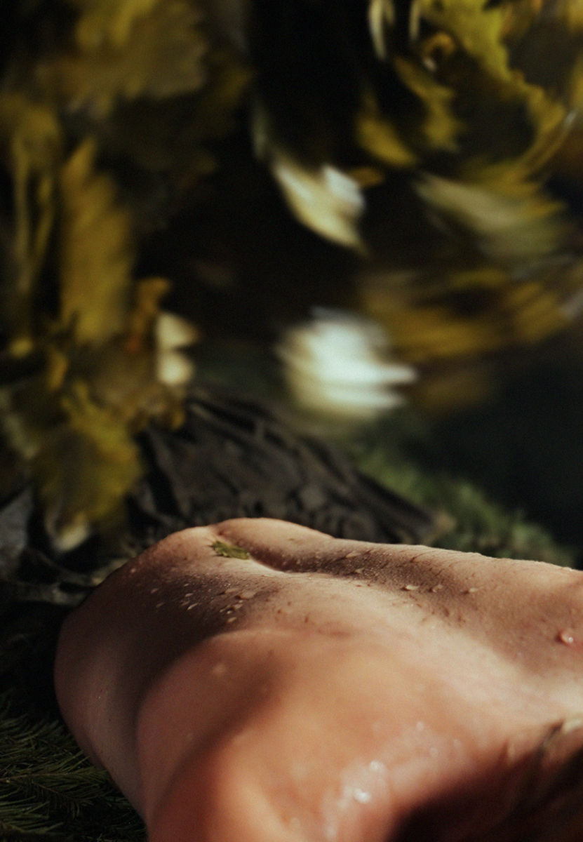    Банный комплекс Siberia запускает коллаборацию с BABOR (фото 1)