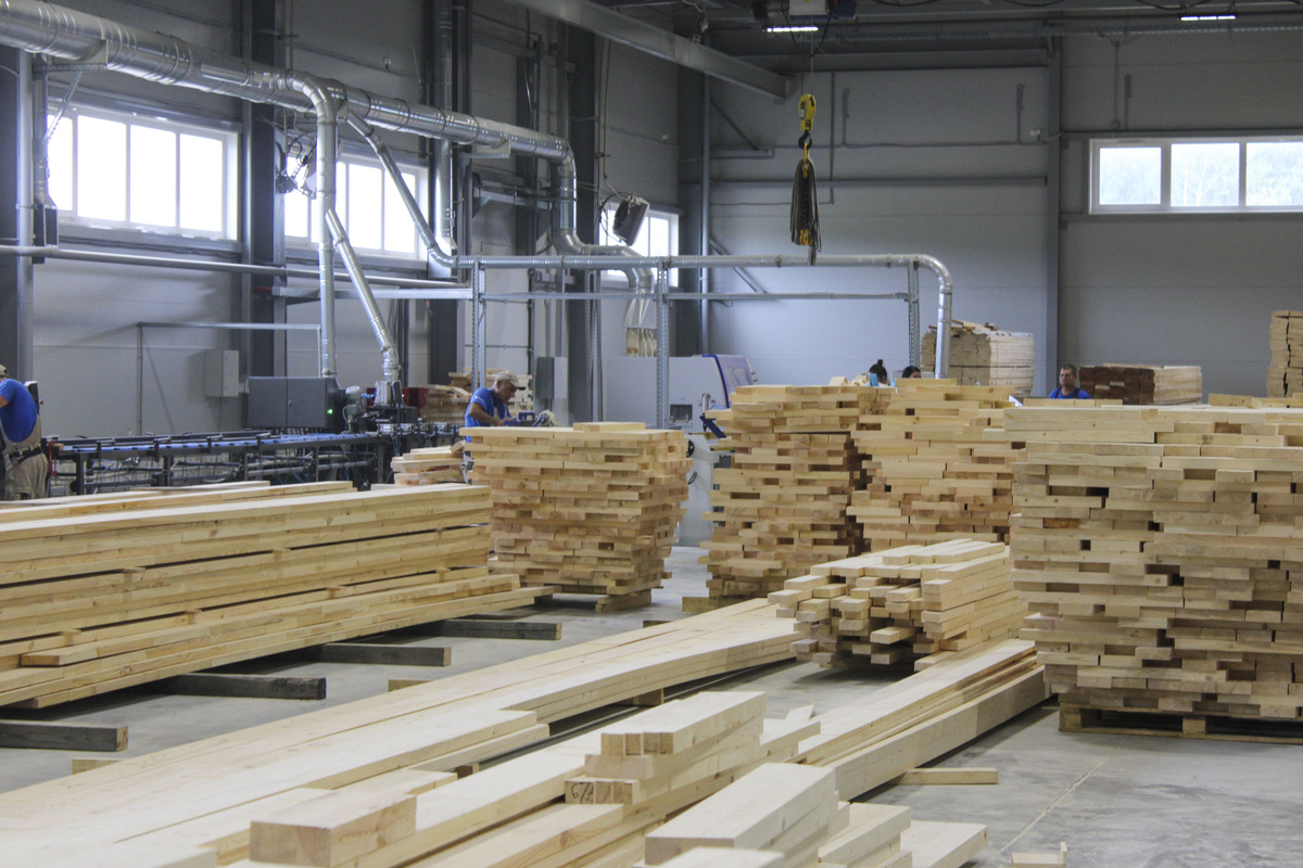 Как кластеры Мордовии объединяют бизнес, науку и образование.  Фото: ФедералПресс / Ксения Кобалия