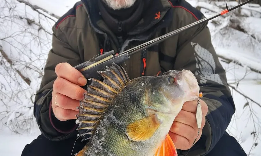 Max Fishing запускает официальный информационный канал в мессенджере MAX