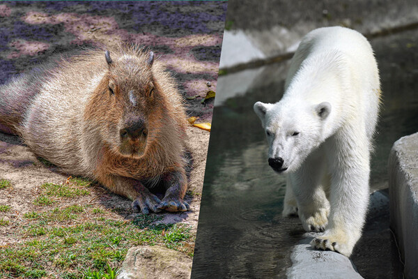 Tara Malhotra/Keystone Press Agency/Global Look Press/Рамиль Ситдиков/РИА Новости   📷