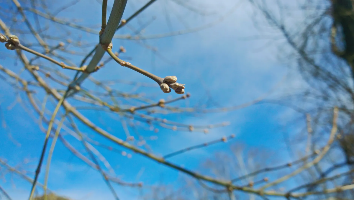 Фото - © Медиасток.рф