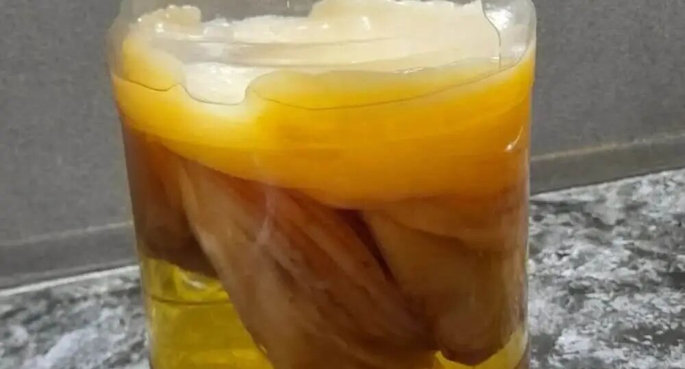 Уксус из чайного гриба в домашних условиях