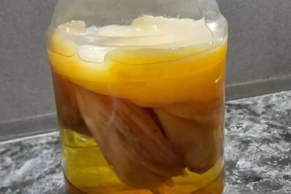 Для получения уксуса чайный гриб оставляют бродить дольше обычного — до 70 дней. Вкус постепенно меняется с кисло-сладкого на насыщенно уксусный.