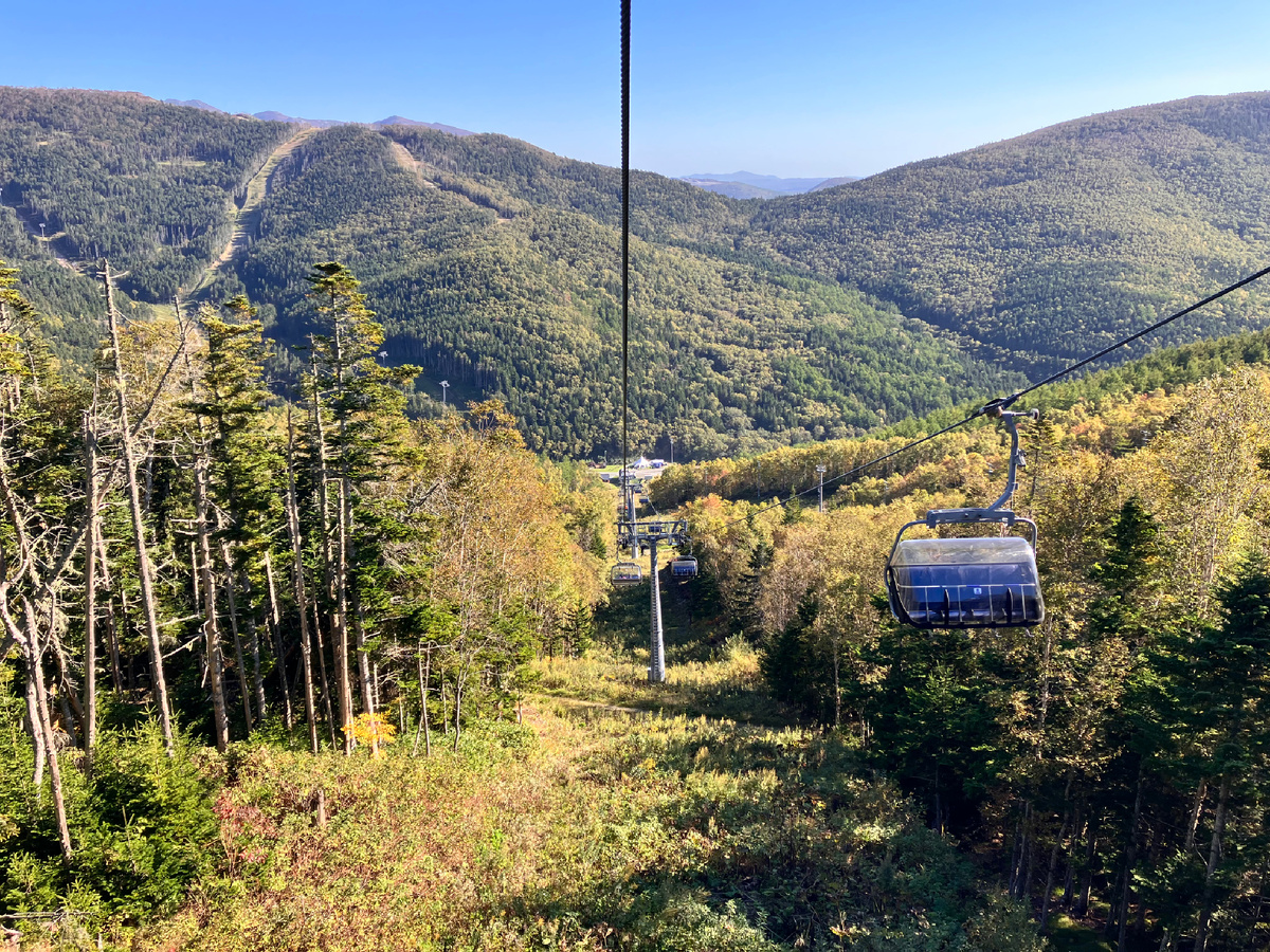 Горный воздух 