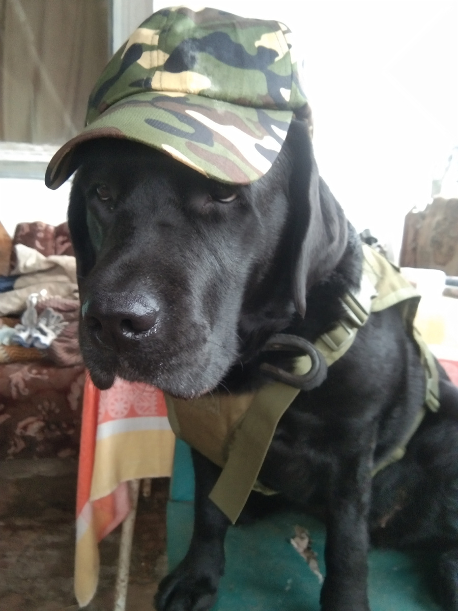 Фото автора. 