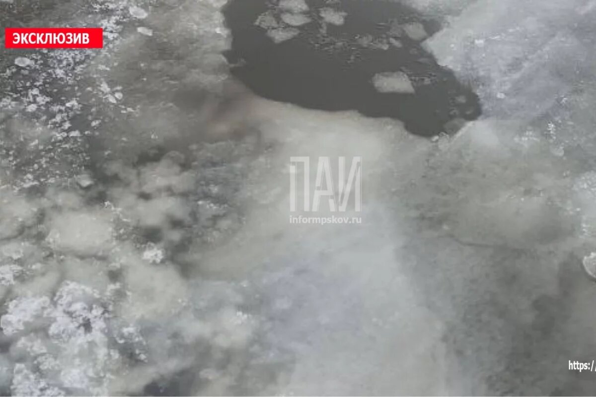    В Псковском районе спасли рыбака, провалившегося в полынью в устье Великой