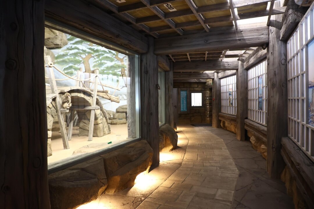    Фото Ростислава Нетисова