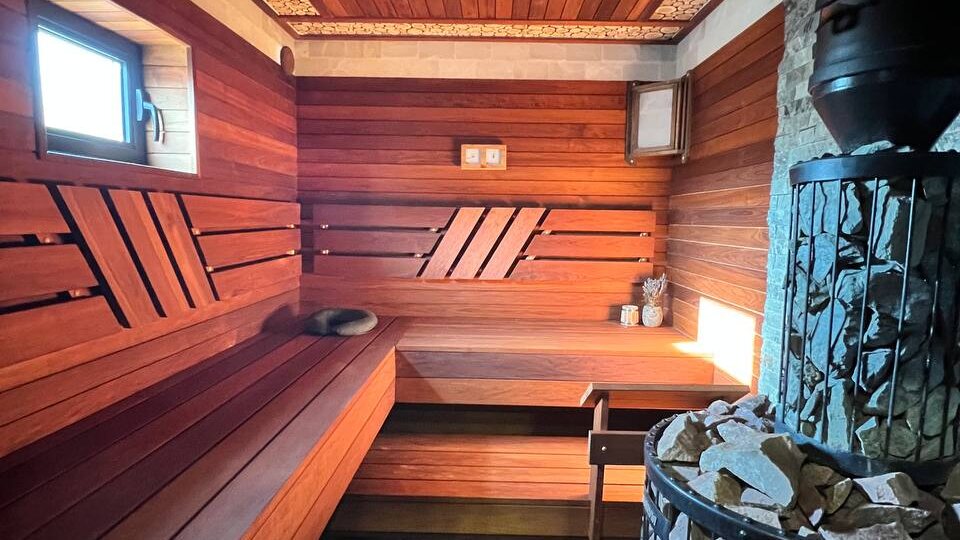 Как убрать плесень в бане и не довести дело до капитального ремонта