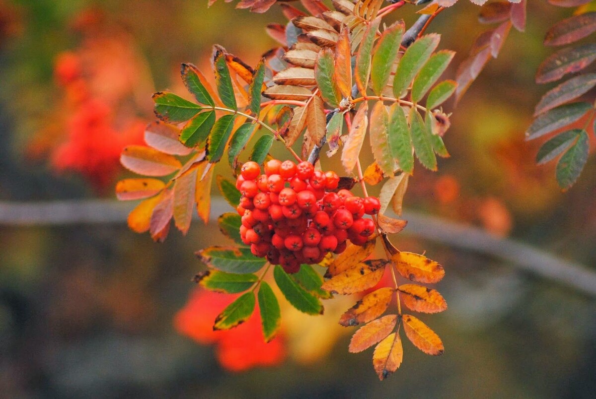 долгое время от детей была тишина