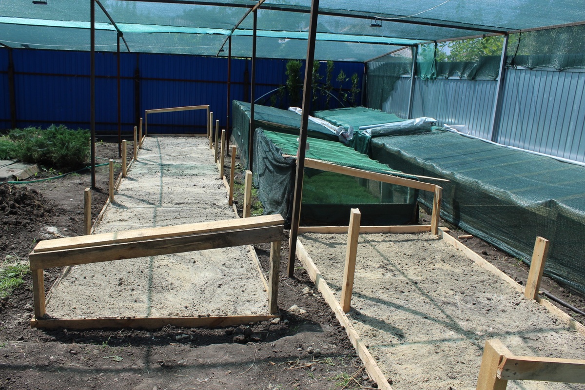 Постройка грядок для выращивания хвойных растений